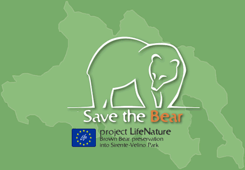 Save the Bear